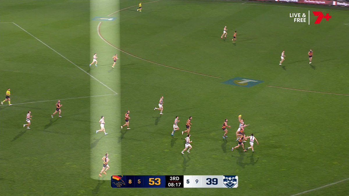 "I don't like this 50... He's actually changed his angle to run boundary side. That should not have been 50 metres." 🗣️ Luke Hodge on Brayden Cook's 50-metre penalty #AFLCrowsCats