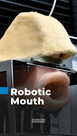 Instead of digital audio, this robotic mouth physically replicates human speech — using an air pump for lungs, silicone for a tongue, and eight artificial vocal cords to control pitch and tone. 🎥 : Kagawa University