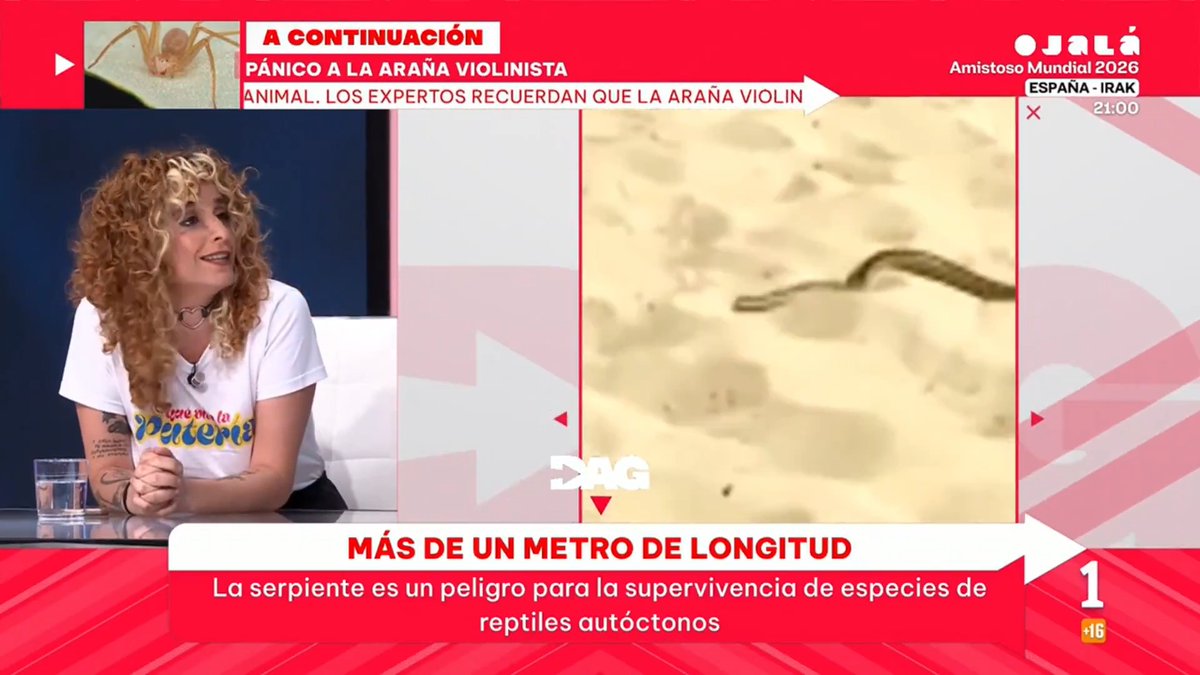 "Ahora mismo hay una presión turística en Baleares de 14 turistas por residente" alemvelasco_ en directoalgrano.rtve 👇🏽 #DirectoAlGrano4J