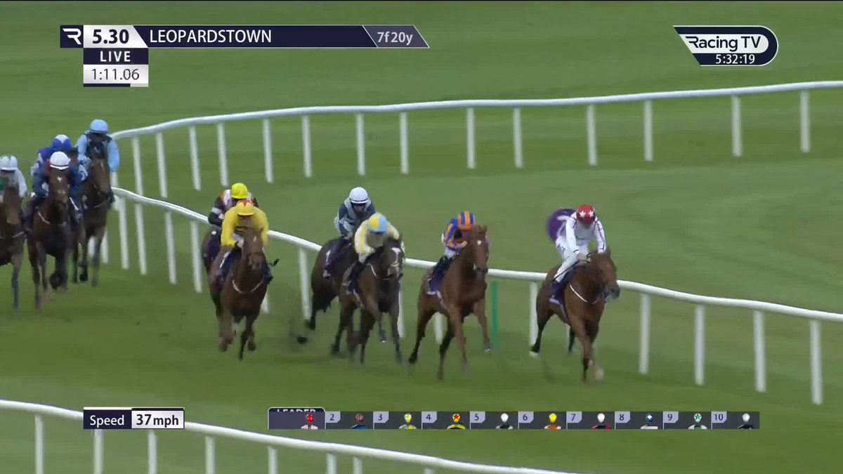When the penny dropped she flew! 👀 🔵⚪️ ALPHA the well bred daughter of Sea The Stars and a HUGE late GAMBLE (9-2 into 2-1) for Ballydoyle flew home to get narrowly beaten on debut. A promising debut from a beautifully bred horse, she'll win next time.