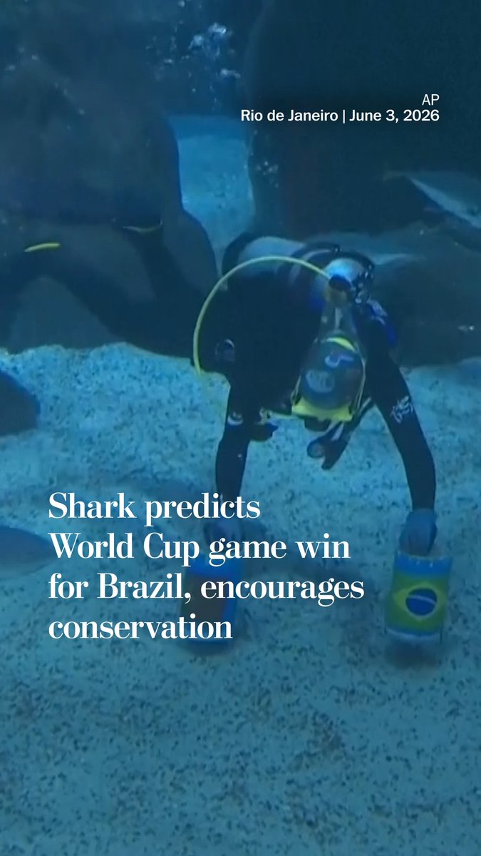 A shark named Ritinha in a Rio de Janeiro aquarium has predicted that Brazil will win its opening World Cup game against Morocco, choosing a Brazil bucket in her tank. Marcelo Szpilman, director of the aquarium, hopes the attention will encourage shark conservation.