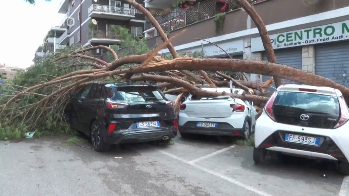 Imatges dels efectes del tornado que ha sorprès Roma: nombrosos vehicles han tingut desperfectes per la caiguda d'arbres