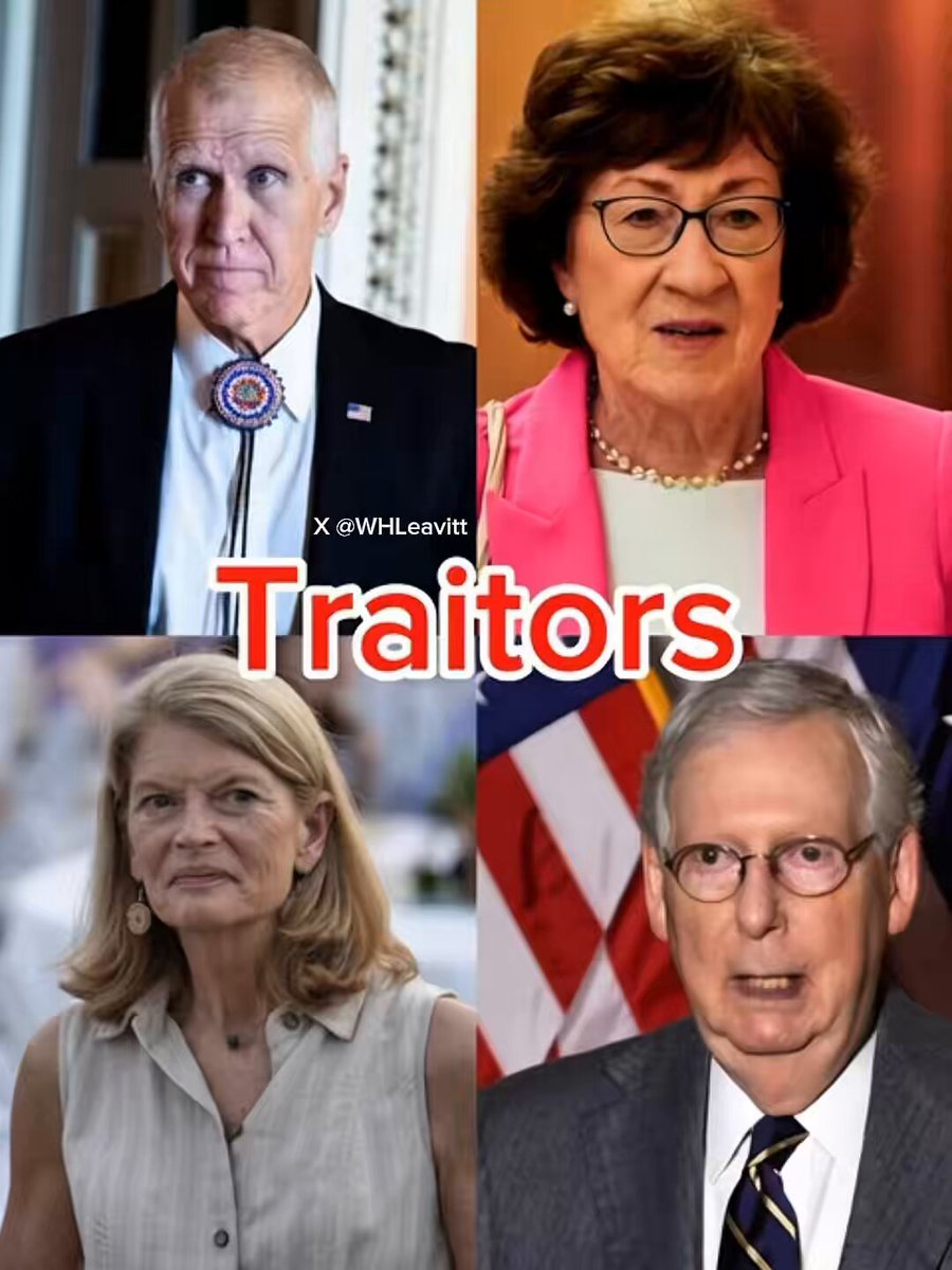 Despite 92.2% Republican support, the Senate GOP majority killed the SAVE America Act in a 48-50 vote when four RINOs — Tillis, Murkowski, McConnell, and Collins — voted no. Fire the traitors? A. Yes B. No