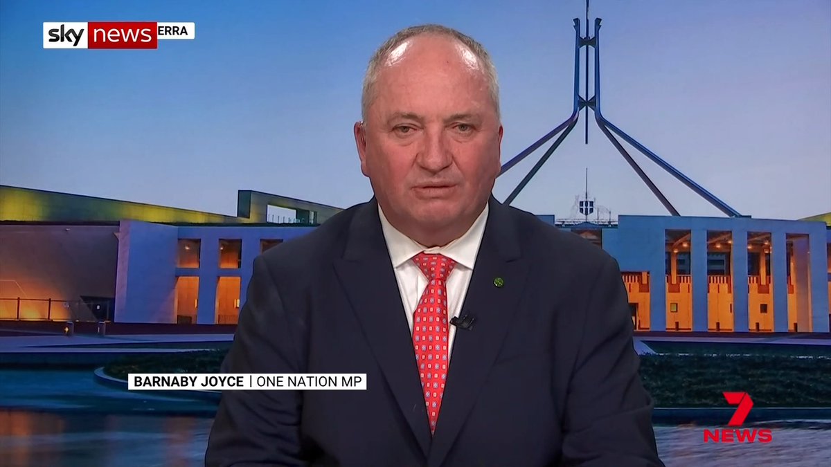 One Nation has spent the day in damage control with Barnaby Joyce forced into an embarrassing backdown over whether his party would force non-citizens to sell their properties. The Prime Minister, facing heat over his own policy, sidestepped claims he should apologise for broken promises.