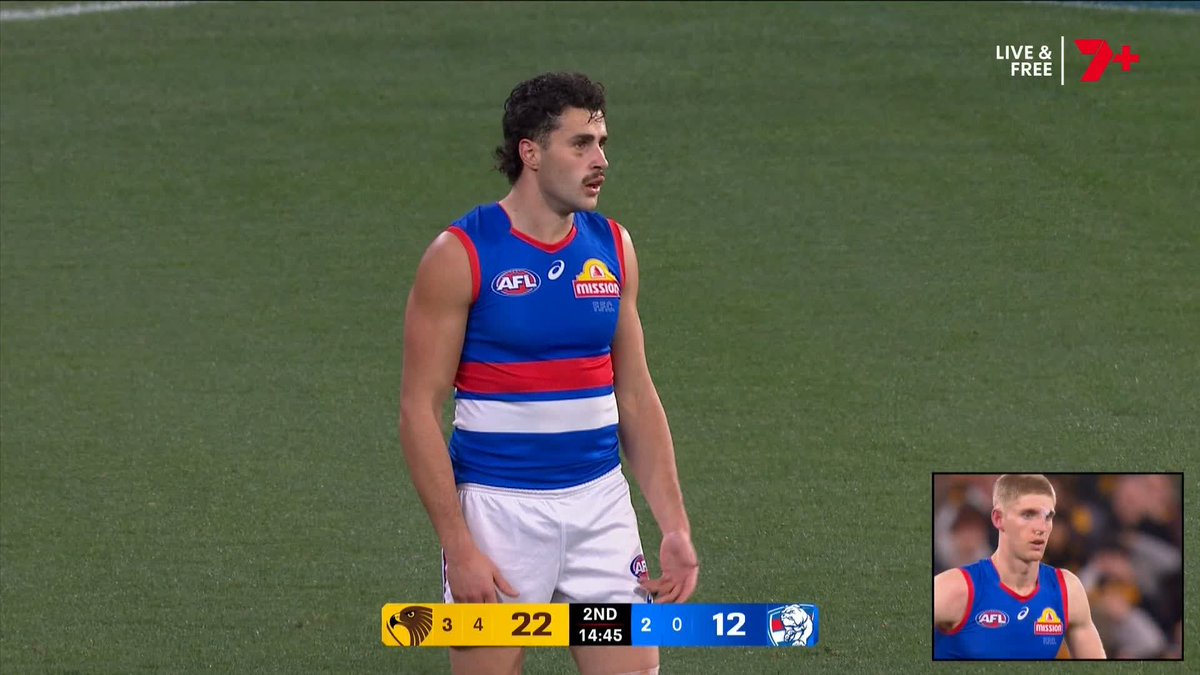 Another week, another example of why the stand rule is the worst rule to ever exist in the game of football How can people think that this is good for the game?? It is genuinely embarrassing for this great game of ours has turned into this? #AFLHawksDogs