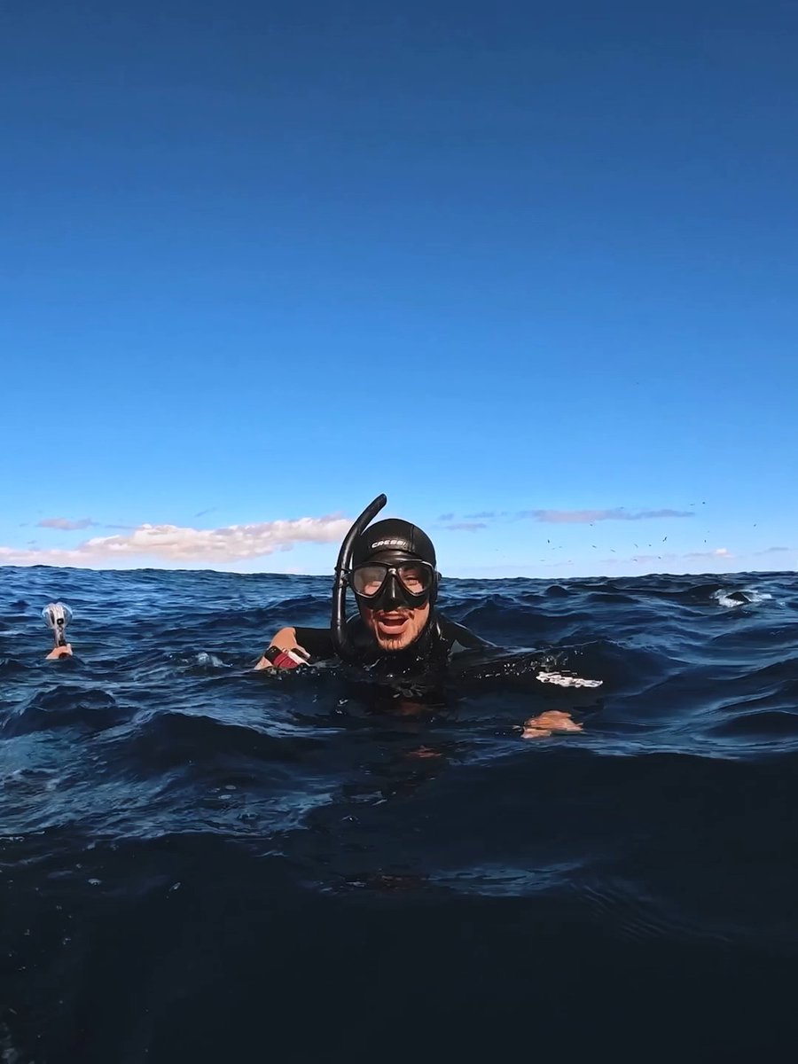 An experience that Xabier Romero will never forget 🐋 🏆 $500 GoPro Award 👉 #GoPro #Whale #Wildlife #Encounter