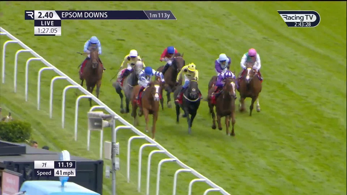 Absolute belter! 🤯 Last year's winner Persica was an ultra-willing rival, but 𝐒𝐞𝐚𝐠𝐮𝐥𝐥𝐬 𝐄𝐥𝐞𝐯𝐞𝐧 takes flight in the Diomed 💎