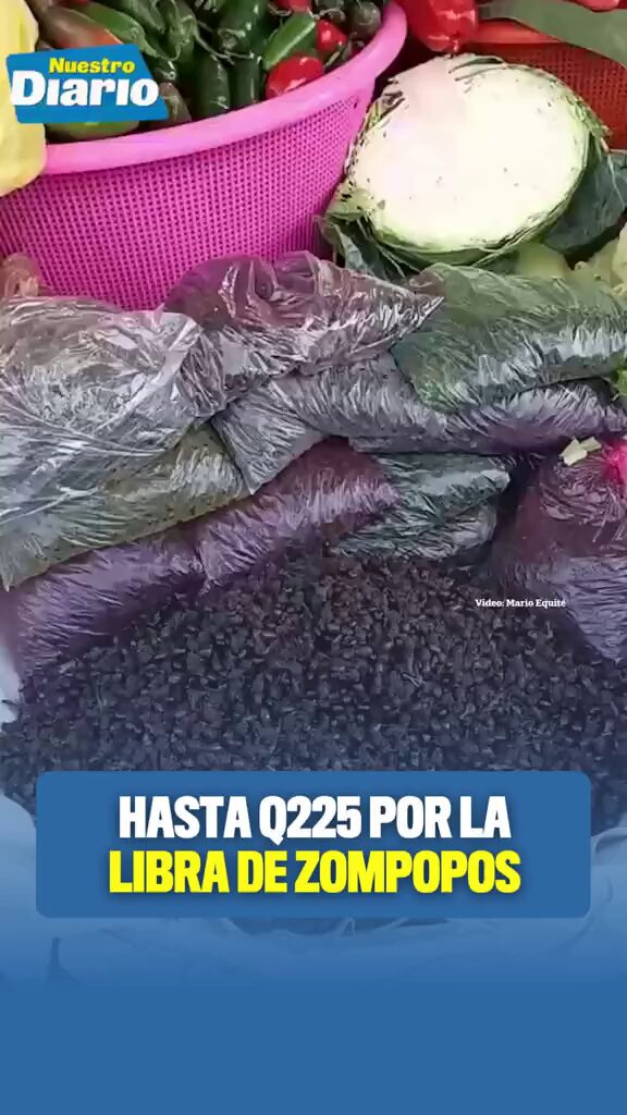 🐜🤑 HASTA Q225 POR LA LIBRA DE ZOMPOPOS 🤑🐜 Aunque tradicionalmente se les conoce como zompopos de mayo, este año comenzaron a aparecer en junio debido a la escasez de lluvias. Comerciantes de San Juan Sacatepéquez aseguran que la libra puede alcanzar hasta Q225 por tratarse de los primeros en salir, mientras que los aficionados esperan la temporada para disfrutar este platillo tradicional preparado con limón, sal, tortilla o guacamol. #NuestroDiario, noticias como son. 📰 #ComunidadND