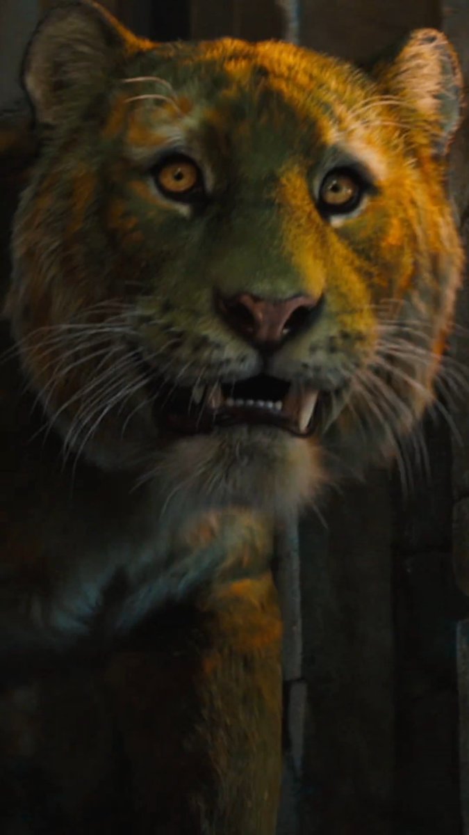 From cute to legend. Masters of the Universe - now playing only in theaters and IMAX. Get tickets now.