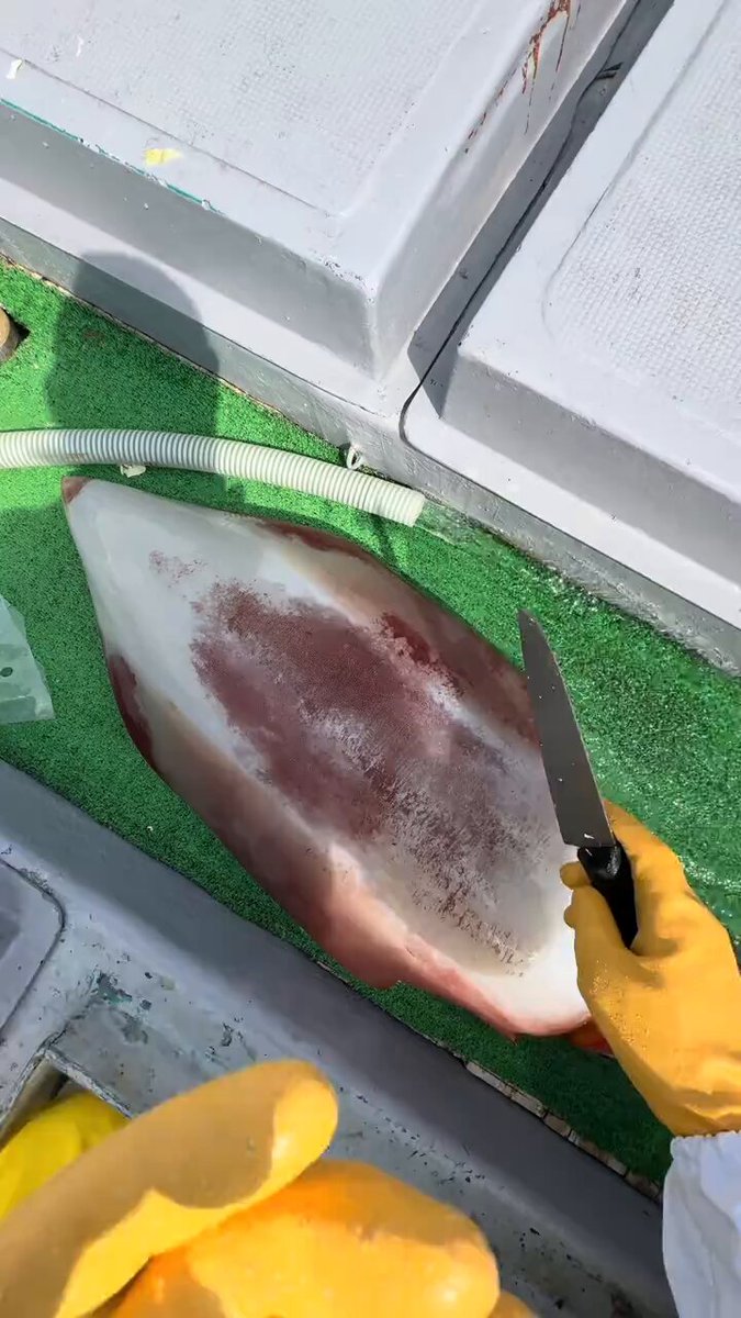 Amazing fish cooking style your wife should know.