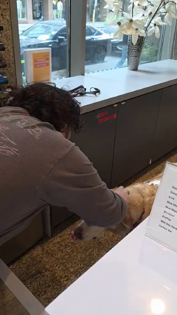 You have been visited by the good boy, Caleb. He’s a seeing-eye dog for a blind elderly man and helps him get around town. Respond with “W Caleb” or face slight inconveniences for the rest of 2026.