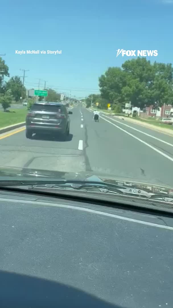 “He’s going faster than all the cars!” That was the reaction after a motorized wheelchair user was spotted speeding alongside traffic on a busy road near Baltimore. The video shows the wheelchair keeping pace with surrounding vehicles as stunned drivers watched it unfold. The unexpected sight left onlookers doing double takes and quickly sparked attention online.