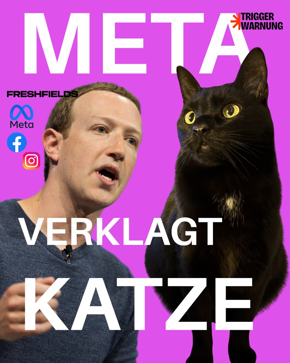 Weil ich gegen die Sperrung meiner Konten vorging, führe ich seit Dezember einen absurden Rechtsstreit gegen Meta, in dem sogar mein Kater Bibi Netanmiauuu 🇮🇱🐈⬛🪖 in Haft genommen wird. Bitte helft mir, gegen dieses "System Meta" vorzugehen! Link im Kommentar 👇🏽