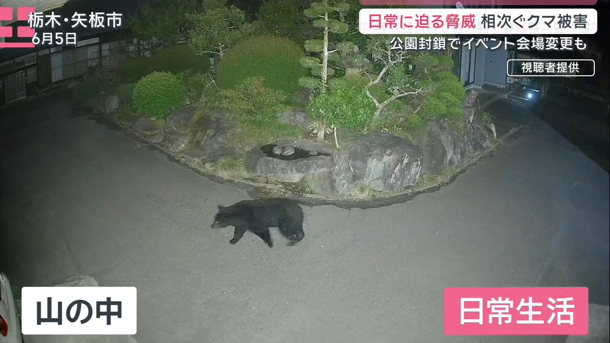 【クマ被害 生活圏にも拡大】クマから身を守るには？ ｜ 3日、秋田・由利本荘市で畑作業中の男性(90)が襲われ、手や肩をかまれけが →付近の公園に箱ワナを設置 →公園で開催予定だった音楽イベントが屋内に変更 2日、秋田市で草刈りをしていた女性(73)がクマに襲われ死亡 →少なくとも2日前から周辺でゴミをあさるクマが目撃されるなど警戒を強化していた クマによる死者は全国で4人(3日時点) →住宅街では初 現場近くの小学校では警備の強化などの対応 ▼クマの3つの習性 2日、福島市の市街地でクマが人を追いかけまわす様子が防犯カメラに映っていた。現場対応に立ち会った専門家にその映像を見てもらうと… 福島大学食農学類 望月翔太准教授 習性①直線的な動き 「何かしらのクラクションだとか、車とかがあって、それに恐怖を感じたクマがここから立ち去りたくて一気にスピードを上げて直線で逃げて行った」 習性②追跡する 「追いかける本能がありますので、人がこうやって逃げれば追いかけてしまう」 習性③顔をめがけて 「急所の部分(顔)をめがけて爪を立てるということがある」 クマは市内の工場内に30時間以上居座った後、窓から逃げたか →窓のカギを開けた形跡や水道の蛇口から水を飲む姿も… 福島大学食農学類 望月翔太准教授 「非常に鼻がいいので、『ここはどうも水の匂いがするな』というところで、ガシガシやっていたら蛇口が開いた。偶然に偶然が重なったという形」 逃げたクマの行方は不明 福島大学食農学類 望月翔太准教授 「もしかしたら再び人を襲うなんてこともあるかもしれません。鉢合わせた時とか興奮して逃げ回っている時に人がいて攻撃するという形が基本」 クマと遭遇した時の対応は― 福島大学食農学類 望月翔太准教授 「こうやって頭を隠すわけですが、このリュックサックでしっかり頭首を守ってあげる。こうすることで手が引っかかれることもないですし、このリュックサックに爪が当たってくれれば、それで無傷で帰ることができます」 ▼これまでにも“人を狙ったとみられる行動” 去年10月、秋田・大仙市で散歩中の女性が後ろから襲われ、目の下を切るけが 2023年9月、キノコ狩り中にクマに襲われた男性は… キノコの販売などを営む 佐藤誠志さん 「足も速いし、手の振りも速い。口の動きも速い」 近くには子グマの姿 →子どもを守るための母グマの行動か 佐藤さんは襲われた経験から、入山時に必ずヤリを必ず持って行くように キノコの販売などを営む 佐藤誠志さん 「棒があったので。もし棒がなかったら(攻撃が)顔に来た。長いなと思いつつ、諦めないで頑張ろうと思った。とにかく襲ってくる間頑張る。勝てるとしたら気持ちだけなので」 サタデーステーション