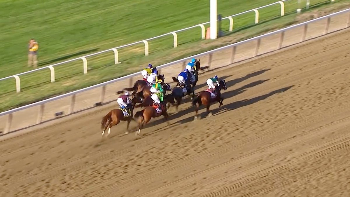 "The 37-year wait is over! American Pharoah is finally the one!" 👑