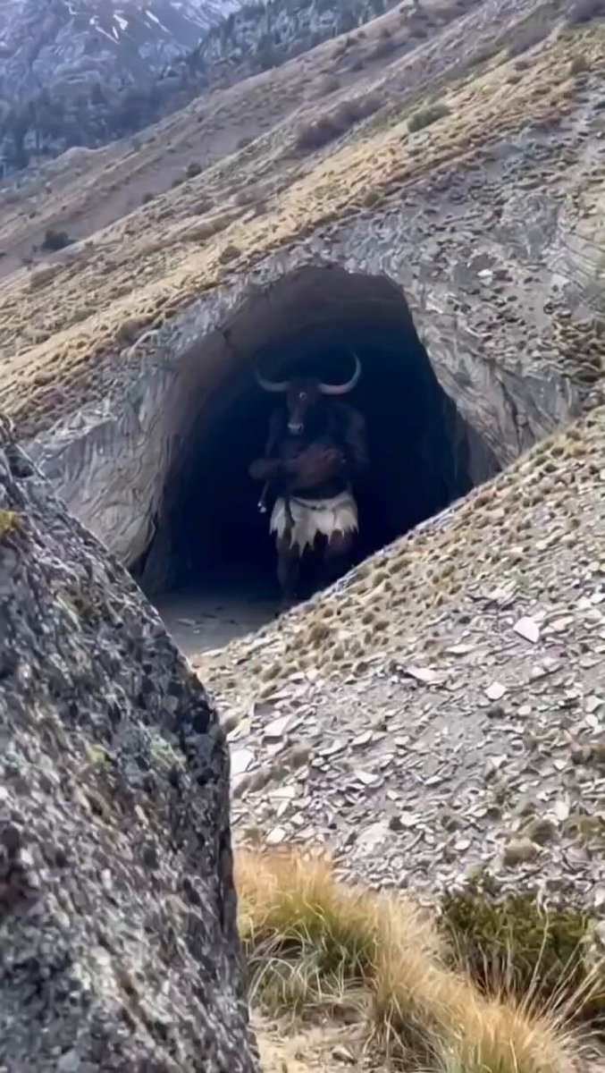 Kafkas Dağları’nda mağara girişinde Minotaur görüntülendi. Efsanelerdeki boğa başlı dev varlık, elinde kanlı bir parça ile mağaradan çıkıyor. 2024’te kaydedilen bu görüntü, antik mitlerin gerçek olabileceğini düşündürüyor. Bu, kayıp bir türün kanıtı mı, yoksa dağların derinliklerinde hâlâ yaşayan eski bir varlık mı? Siz ne düşünüyorsunuz? #Minotaur #KafkasGizem #DevYaratık #AntikEfsaneler #Gizem #KomploTeorileri #GerçekMi