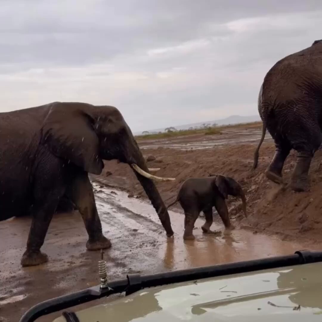 Mommy’s always there.. 🥺