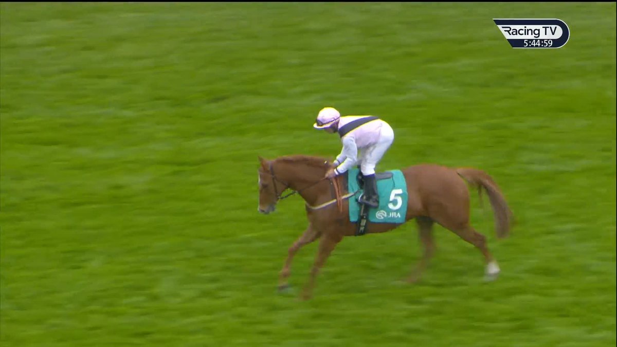 🗣️"I think it's a diabolical decision." Dave Nevison criticises the decision to declare Benvenuto Cellini a non-runner in the Derby