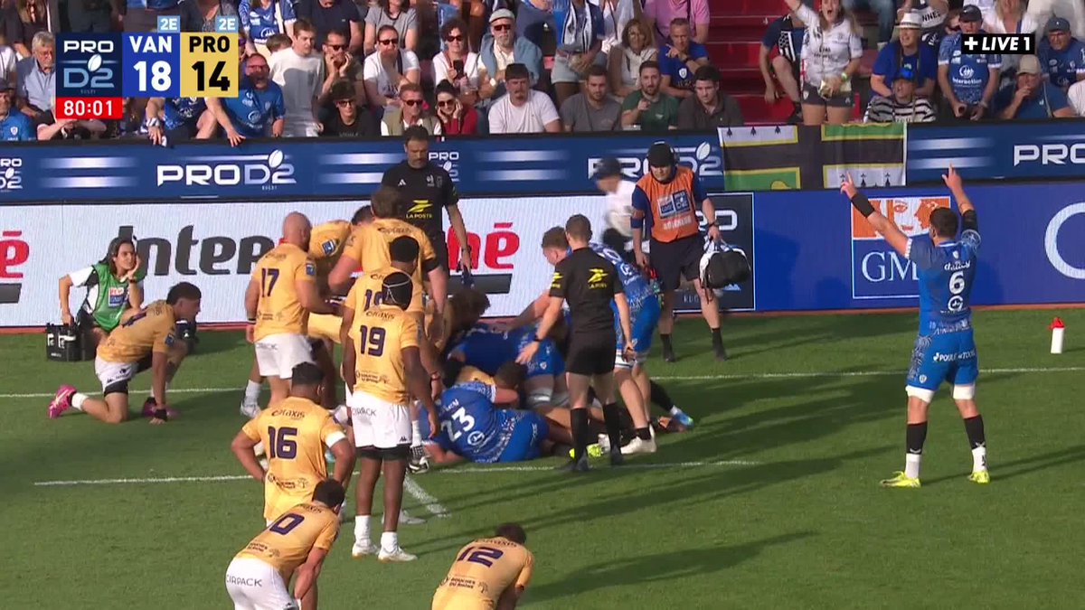 VANNES EST DE RETOUR EN TOP 14 👏 #PROD2