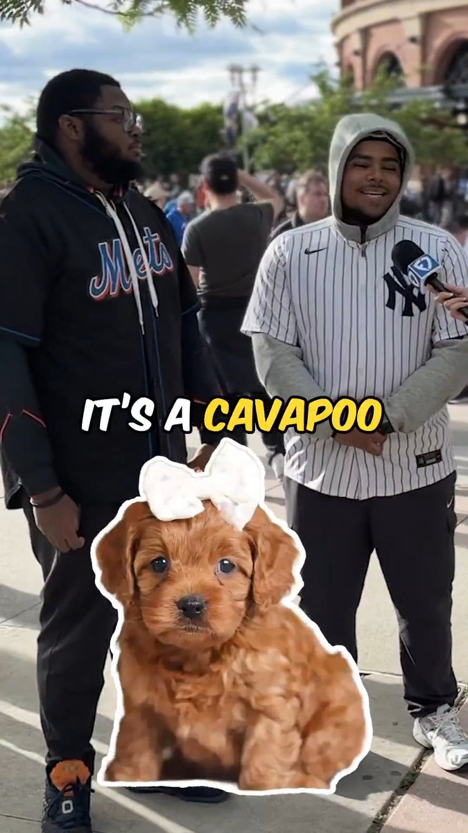 sorry, but I'm not giving MY DOG for a World Series not gonna happen ❌ #RepBX | #LGM