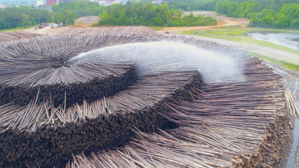 America's box industry turns millions of trees and recycled materials into essential packaging every year
