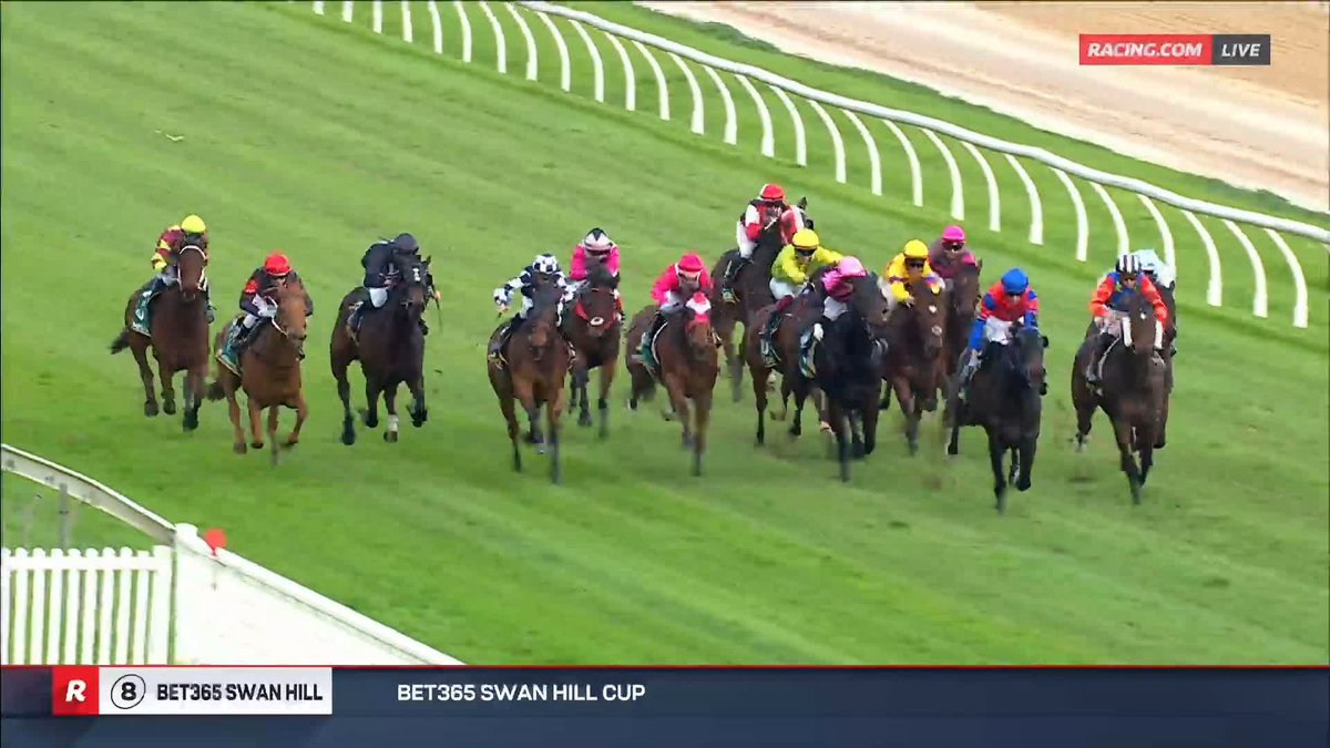 Swan Hill Cup | Cartoon Graveyard The 6YO gelding storms home down the outside to claim the Swan Hill Cup in style 🏆🙌 📺 Ch. 78/68, Foxtel 529, Kayo or via our app REPLAYS: