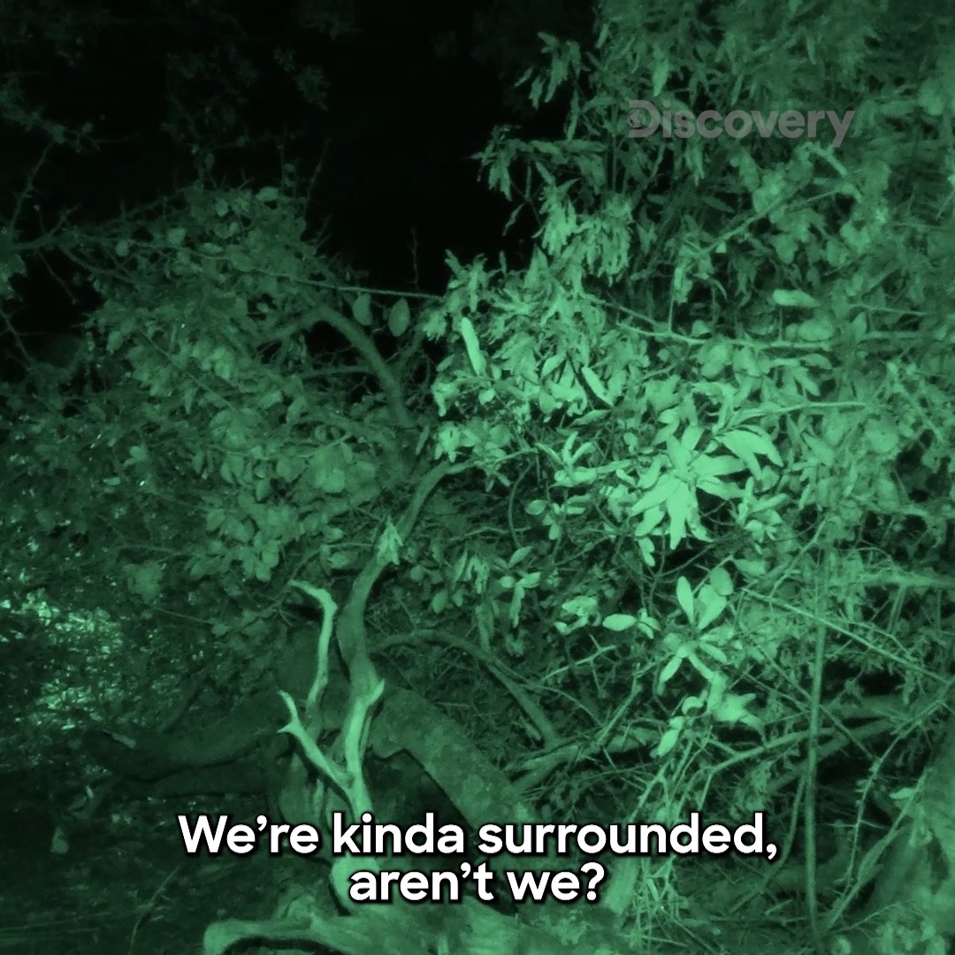 These survivalists are SURROUNDED by danger 😳 Don't miss a new #NakedAndAfraid: Global Showdown, tonight at 8P on Discovery