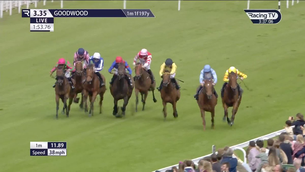 Listed honours for Venetia in a thriller! 💙🤍 Ralph Beckett | Goodwood Racecourse | British EBF