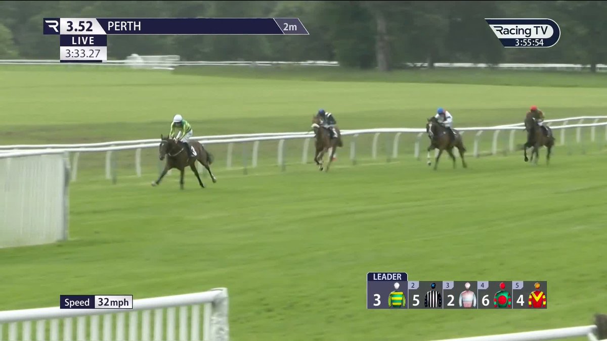 Newtown Rambler - in a league of his own in the Silver Cup perthracecourse 🟢🟡 Keatley Racing