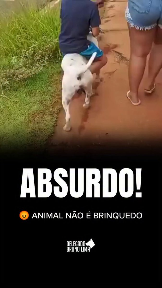 Você concorda que esse tipo de “brincadeira” é maus-tratos? 🤬