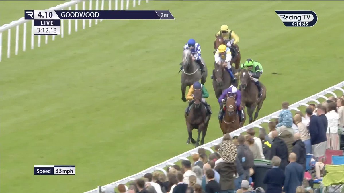 In The Breeze wins the stamina-sapping 2m handicap Goodwood Racecourse for Henrietta Knight Racing 👊 Cieren Fallon