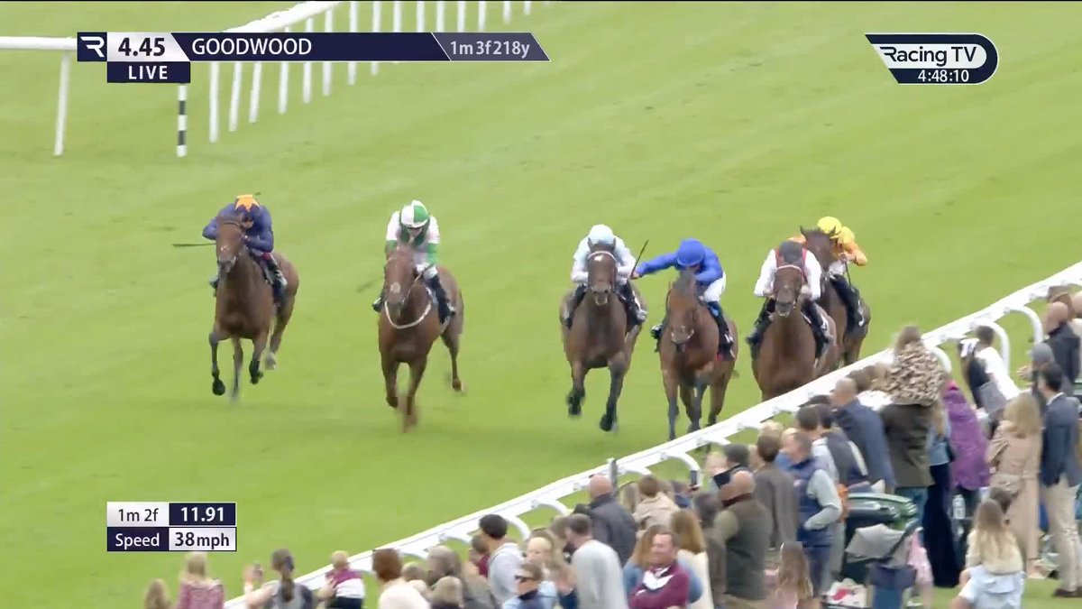 It's a Somerville Lodge Stables 1-2 in the Listed Tapster Stakes Goodwood Racecourse as the well-backed Tenability edges out last year's winner Hamish.