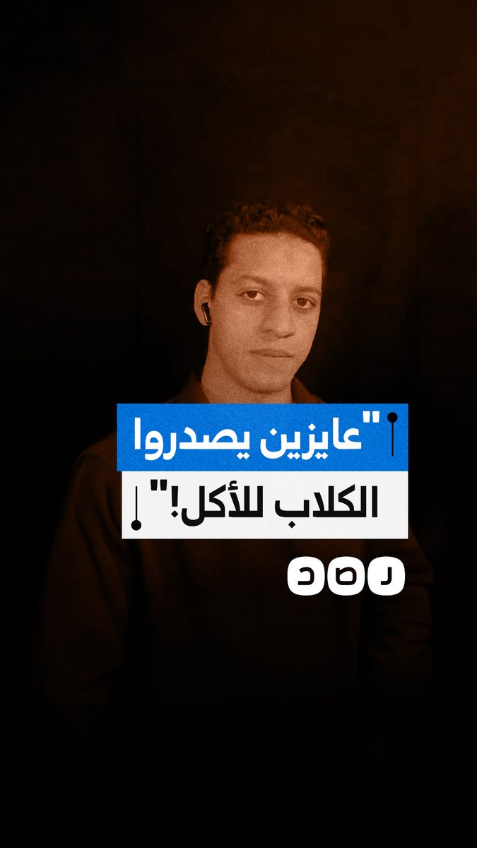 دعوات لاعتماد التعقيم والملاجئ كبدائل لمعالجة أزمة الكلاب الضالة بدلا من تصديرها