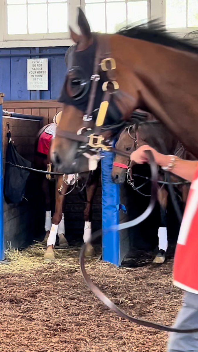 It's always something. Track ponies just like siblings sometimes.