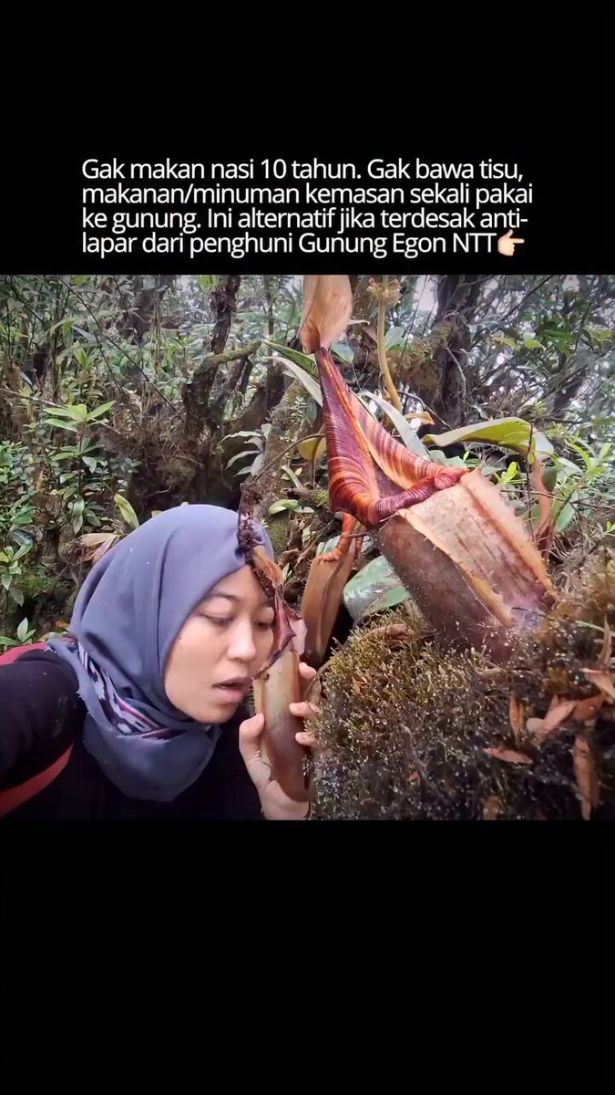 anehnya dia gak pernah keracunan walaupun makan apa aja 🙌