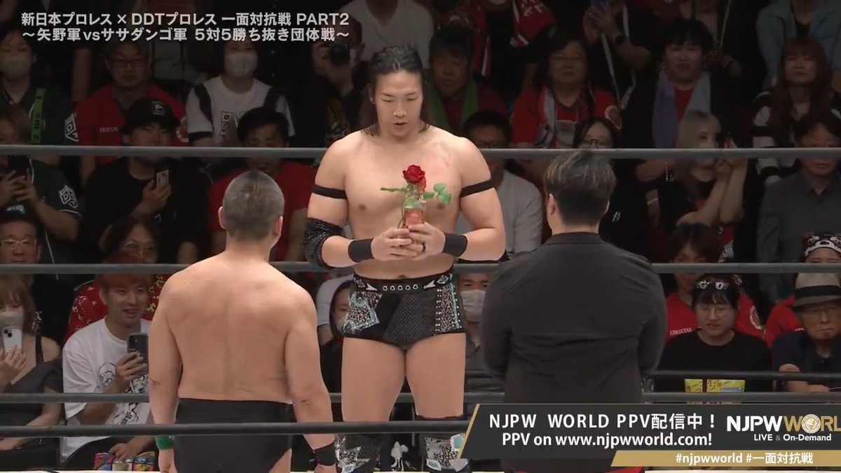 🦁新日本プロレス×DDTプロレス #一面対抗戦 PART2 〜矢野軍vsササダンゴ軍 5対5勝ち抜き団体戦〜🎋 竹ロレッテ😂⁉️ 購入⏩ 視聴料金:2,500円(税込) #njpwworld