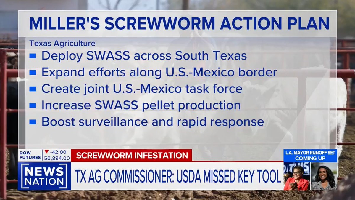 Texas's Ag commissioner warns Trump's slow response to New World Screwworm is increasing beef prices: "You can look for higher beef prices because of the failure of the USDA to control this pest."