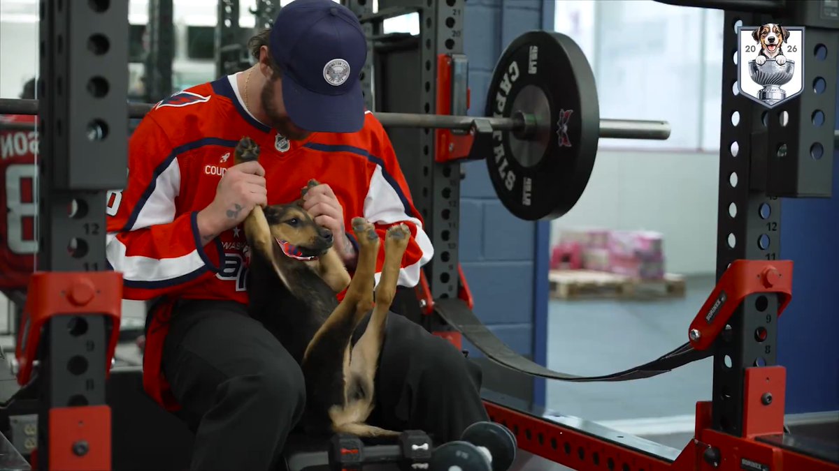 Name a more perfect training tandem challenge (im-paw-sible) Sit, stay and see Logan Chompson make her Stanley Pup premiere tonight at 9:30 PM on truTV and HBO Max