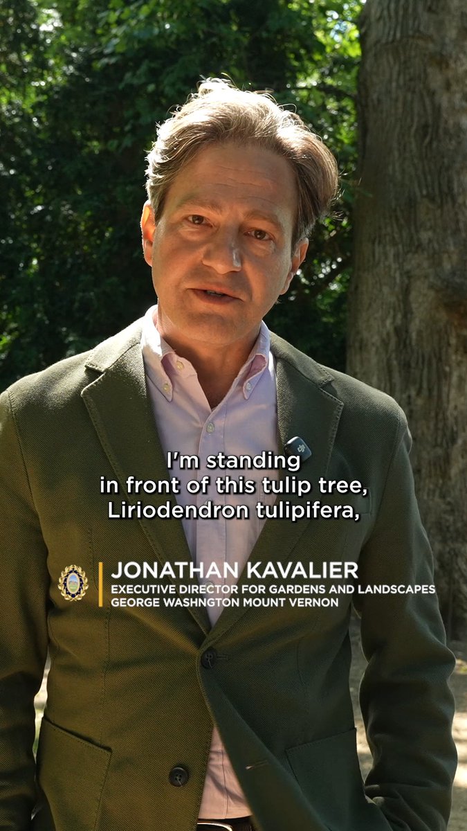How do we know that this tree is from George Washington's time?