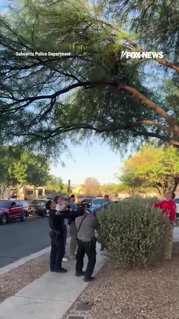 A bear rescue operation in Arizona took an unexpected turn when a sedated bear plunged through a catch tarp, knocking an officer off balance and onto the animal. Authorities in Rancho Sahuarita said crews were preparing to break a tranquilized bear’s fall from a tree, but the bear landed with more force than anticipated, causing an officer to tumble onto it. The bear was later safely relocated.