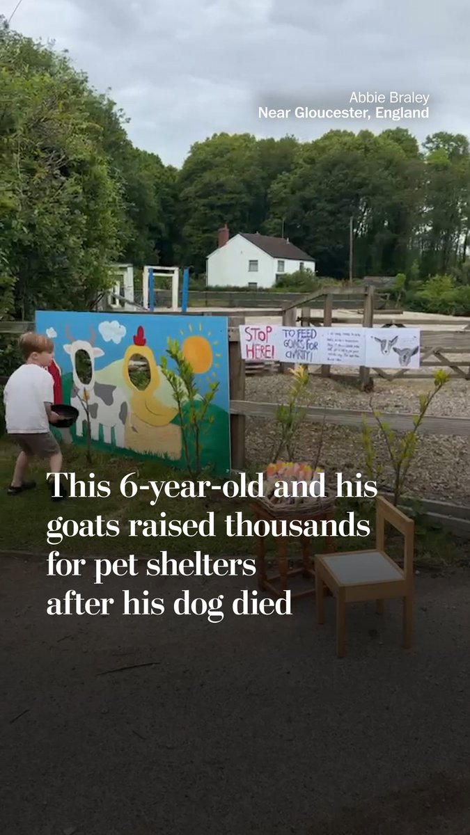 After his dog died, 6-year-old Buddy Braley wanted to do something in his honor. With the help of his family, he invited people to feed goats at his home in England, raising thousands of dollars to buy dog beds and toys for shelters. Read more: