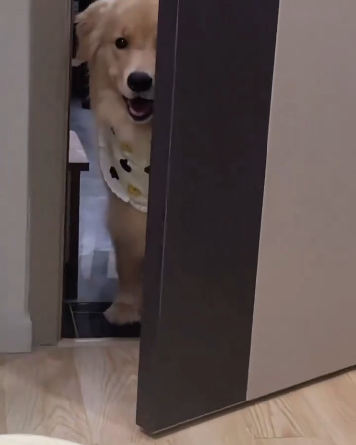 Baby dog is so cute 🐕💜