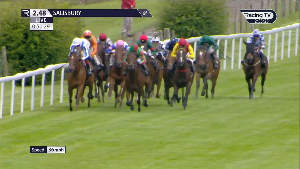🏴‍☠️ Winning debut for €40,000 buy Flying Pirate (Blackbeard) Eve Johnson Houghton won the race with Zavateri 12 months ago Salisbury Racecourse