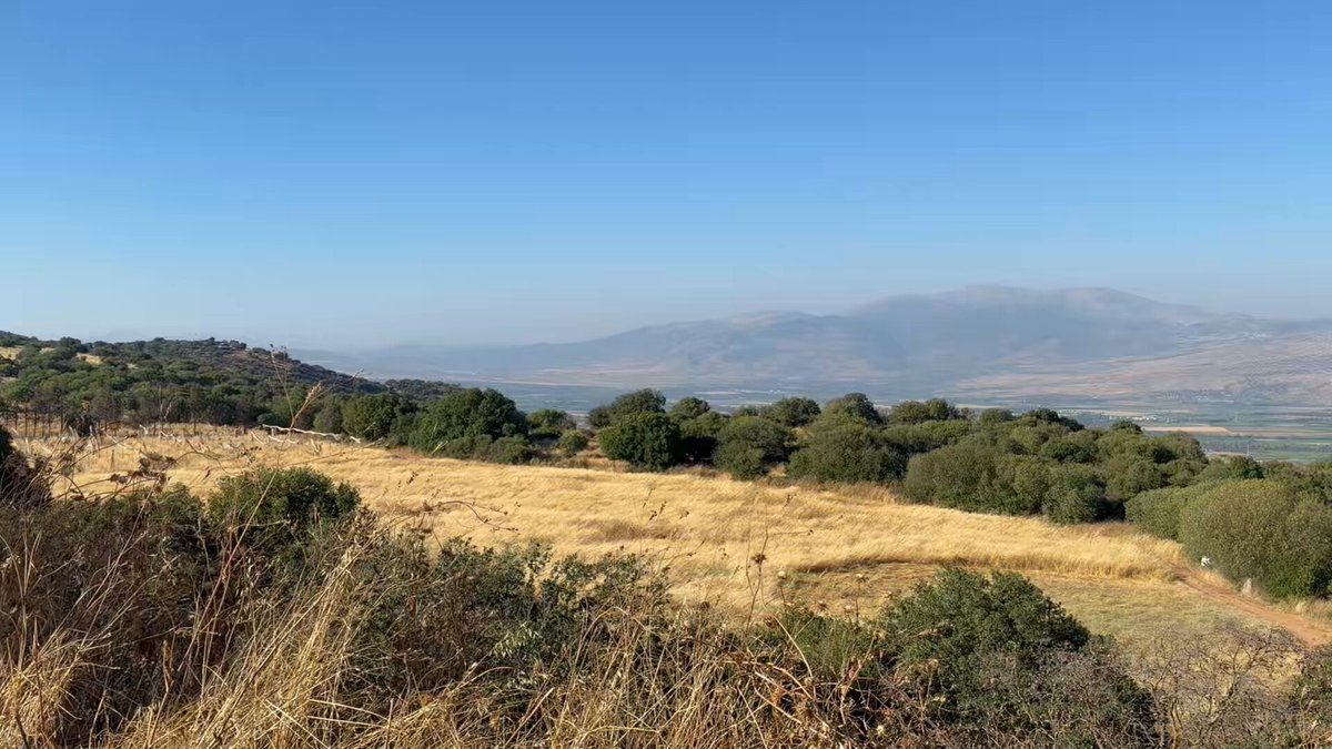 Surrounded by Lebanon and Syria. How fast can you geolocate me?
