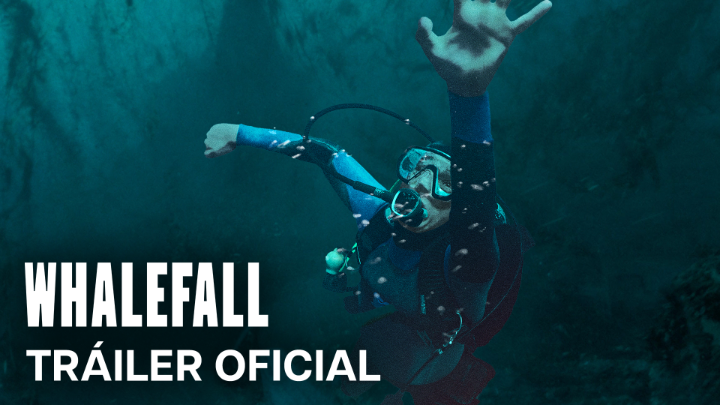 Las probabilidades de ser tragado vivo por una ballena son bajas, pero nunca cero. #LaCaídaDeLaBallena, estreno 15 de octubre. Solo en cines.