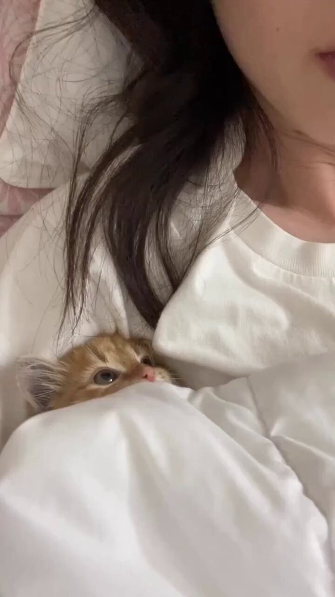 顔見てくる猫ちゃんメロすぎる😭