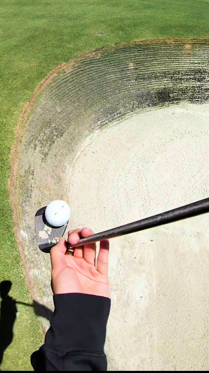 POV up and in. #s259