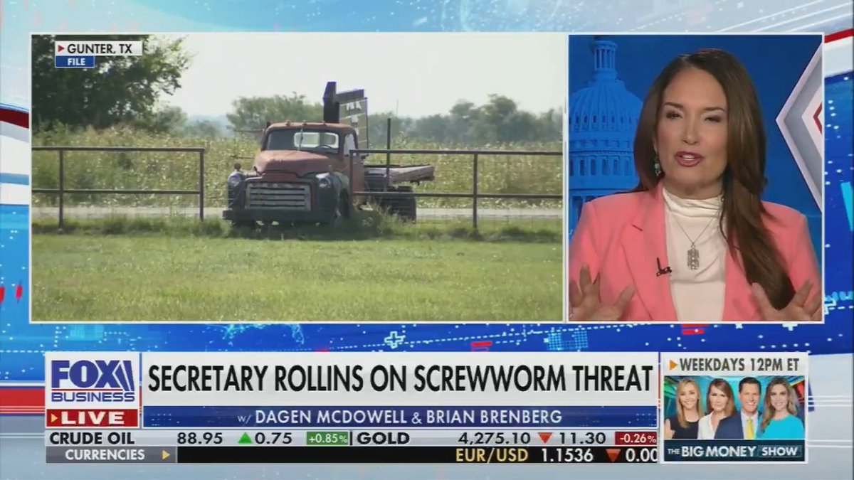 Brooke Rollins admits the New World Screwworm will continue spreading in the U.S. for at least "a couple months"