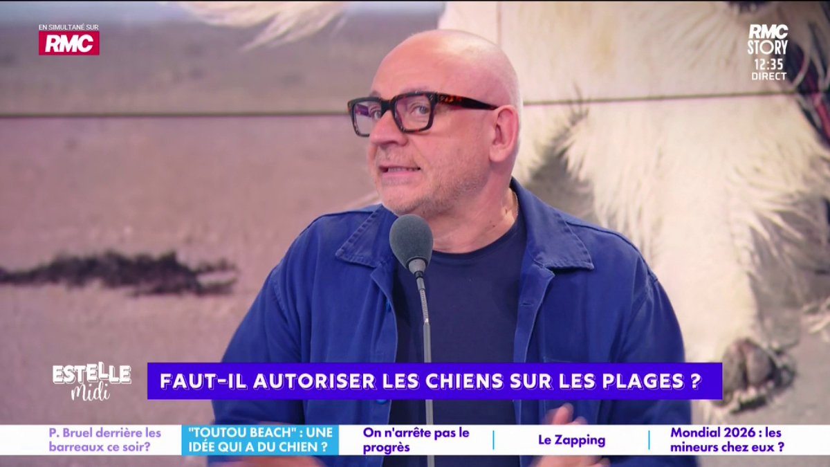 🐶 Faut-il autoriser les chiens sur les plages ? 🎙️ frédéric hermel🇫🇷 : "Ça m'énerve... Un animal, ça ne va pas à la plage ! Un chien, c'est une responsabilité ! Il faut un permis de chien ! Tout le monde n'a pas les capacités pour avoir un chien... Les plages, c'est l'espace public"
