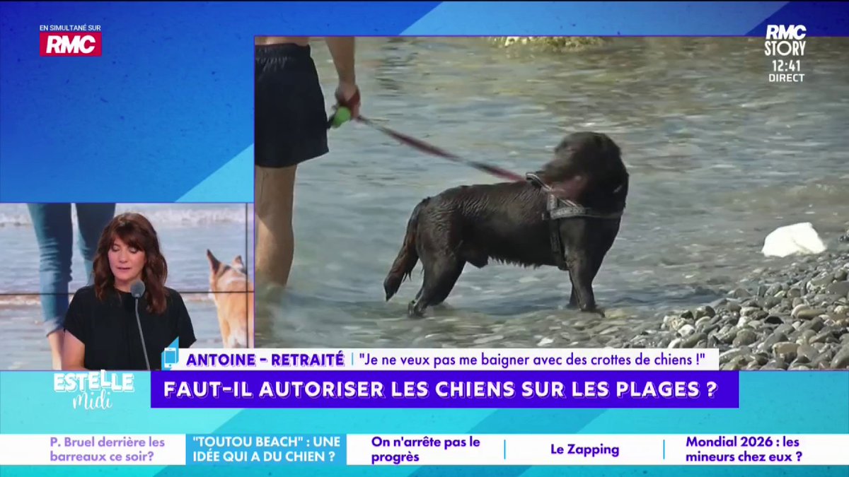🐶 Faut-il autoriser les chiens sur les plages ? 📞 Antoine : "Je viens d'annuler mes congés à Mandelieu-la-Napoule... Je ne vais pas mettre 1 500 balles la semaine pour aller me baigner avec des crottes ! Les gens ne ramassent déjà pas les crottes sur les trottoirs !"